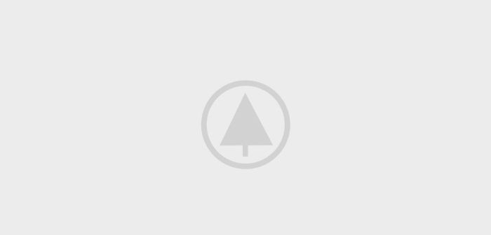 wood-gallery-placeholder-4
