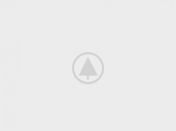 wood-gallery-placeholder-5 wood-gallery-placeholder-5