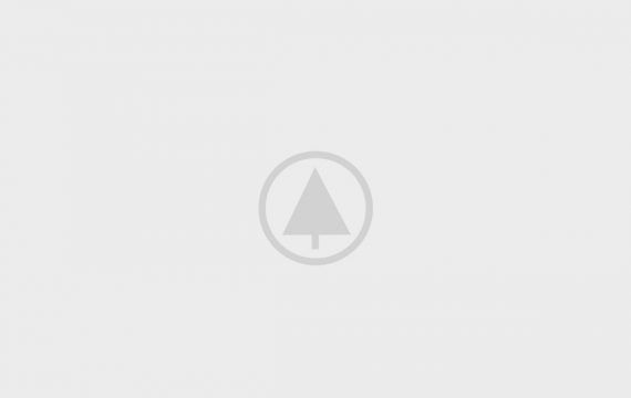 wood-gallery-placeholder-5 wood-gallery-placeholder-5
