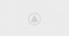 wood-gallery-placeholder-5 wood-gallery-placeholder-5