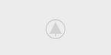 wood-gallery-placeholder-5 wood-gallery-placeholder-5