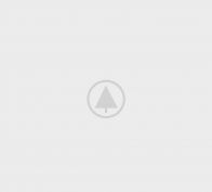 wood-gallery-placeholder-5 wood-gallery-placeholder-5